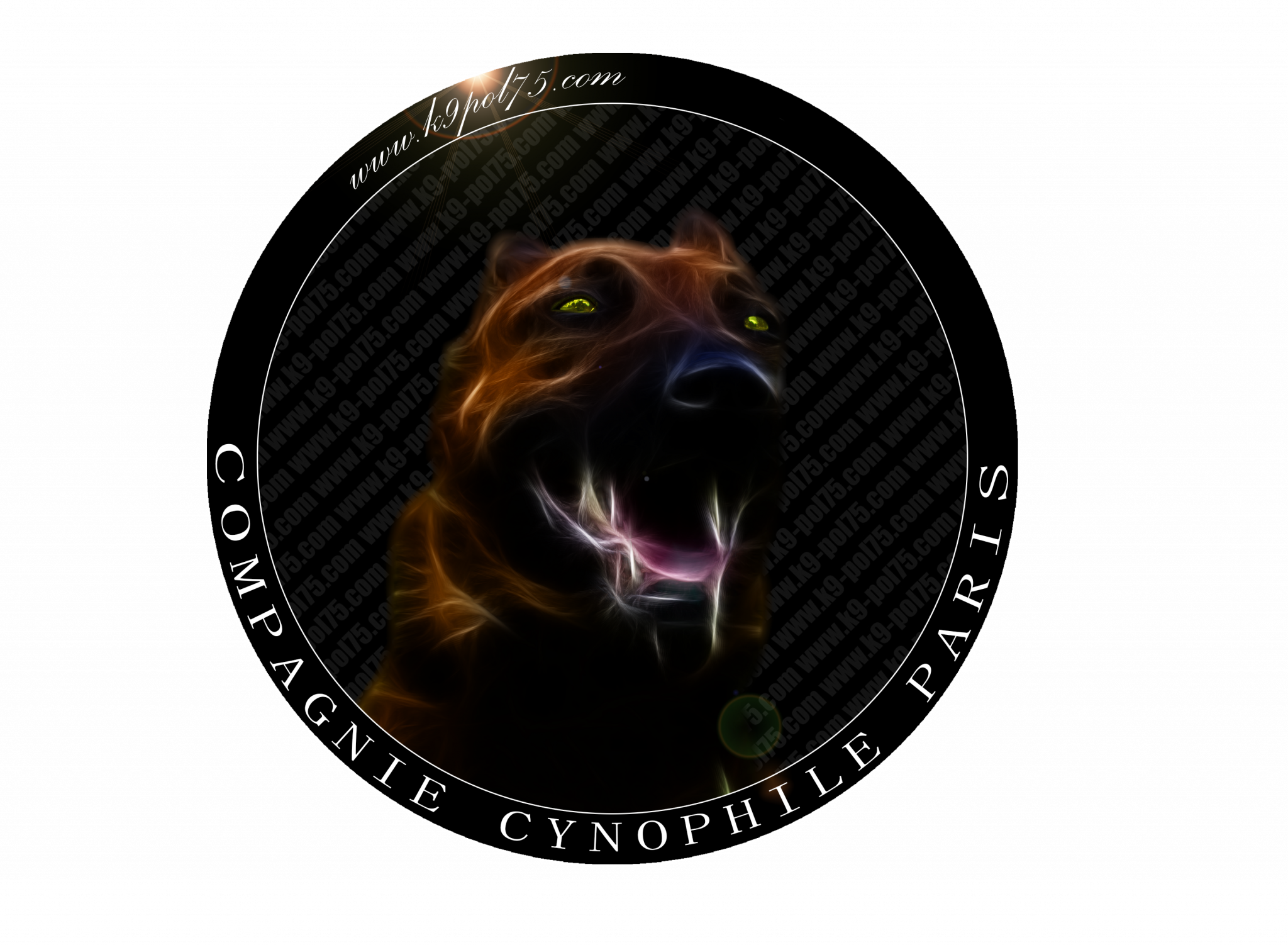 Adopter un chien réformé de la Police Nationale