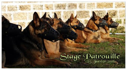 StagePatrouille-2006-