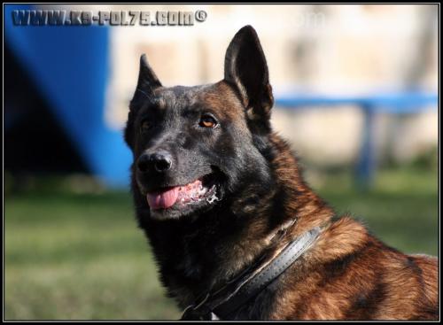 Vic7-Patrouille-2008