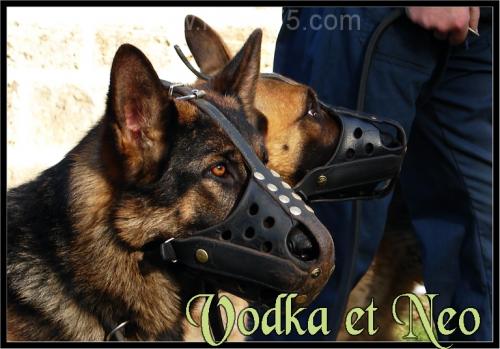 Vodka4-Patrouille-2006