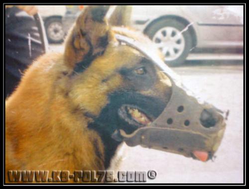 sloopy-patrouille-2003