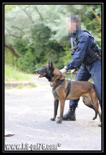 Airton1-Patrouille-28.05.2011-