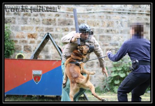 Cid10-Patrouille-28.05.2011-