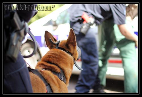 Cid11-Patrouille-28.05.2011-