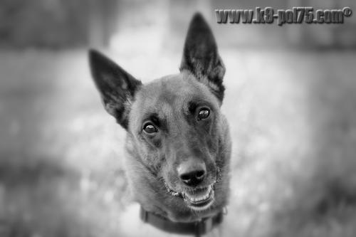 Cora3-STUP-10.02.2012-