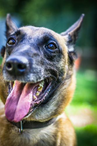 Cora3-STUP-12.09.2015-