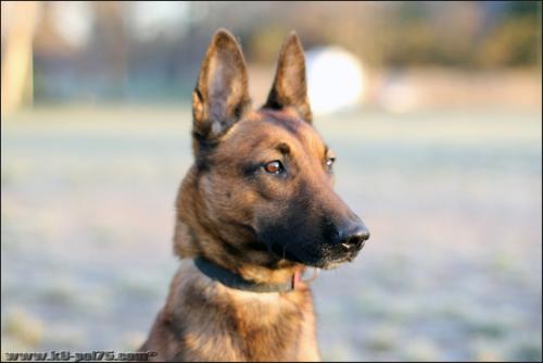 Djimathie1-STUP-10.01.2012-