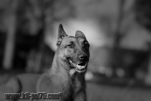 Djimathie4-STUP-10.02.2014-