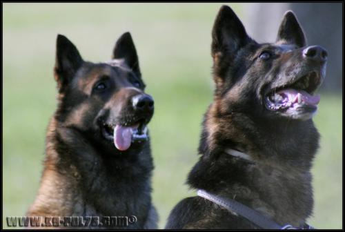 Doug-Nuage1-Explo-07.02.2011-