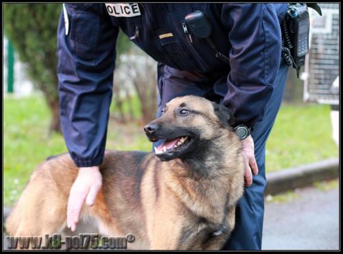 Duke04-Explo-19.01.2012