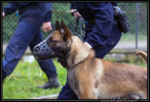 Farouk01-DetectInter-01.08.2012