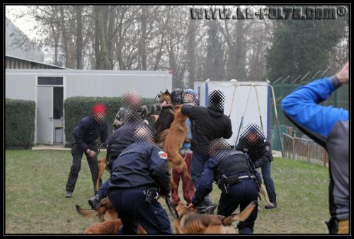 GroupePatrouille3-31.01.2011- (1)