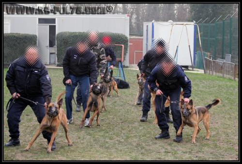GroupePatrouille4-31.01.2011- (1)