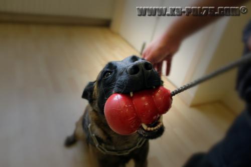 Heasy1-STUP-22.12.2014-