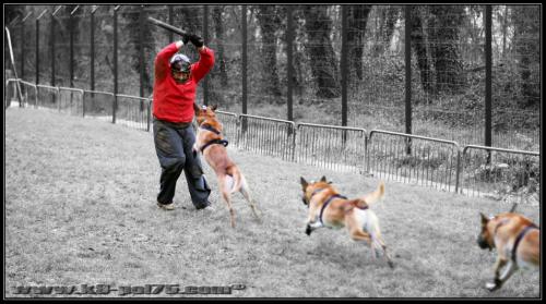 Muzlek9-Azzo-DetectInter-19.01.2012-