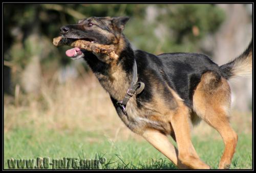 Nuage6-Explo-07.02.2011-