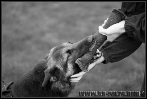 Nuage9-Explo-31.03.2011-