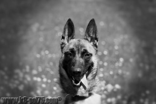 Zoe1-STUP-18.04.2013-