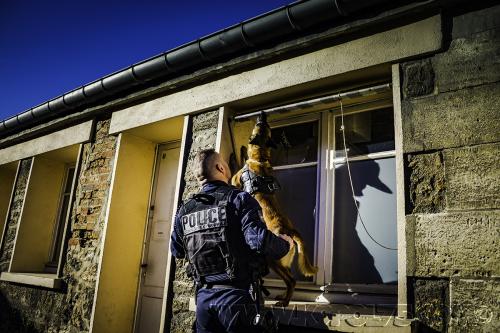 STUPCora1-28122016small