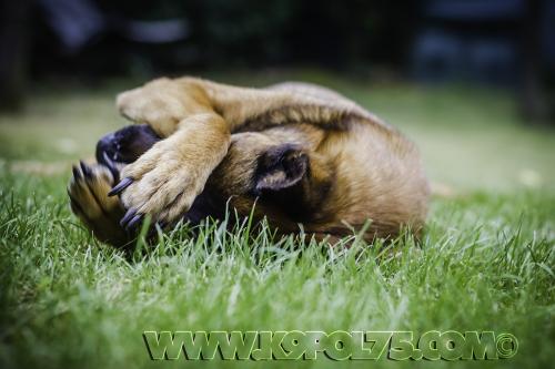 Djimathie01small-23072017-