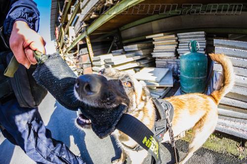 Gaia1-small-31102017-