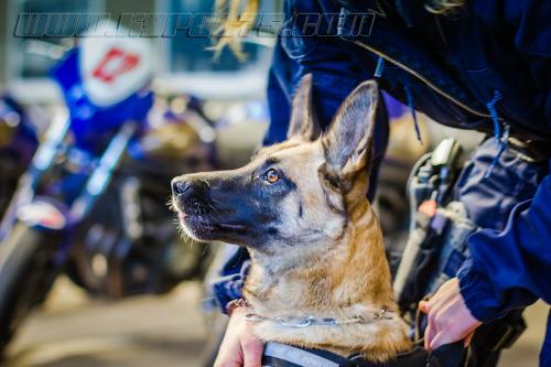 Gaia1small-20092017-