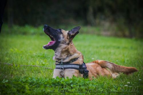 Gaia2-27092017-small-