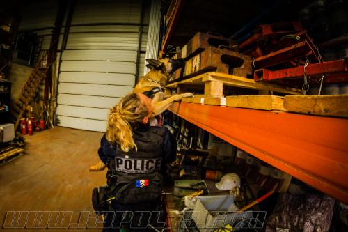 Gaia2-small-31102017-