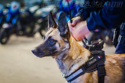 Gaia3small-20092017-