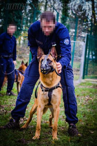 GrpePatrol1small-03122017-