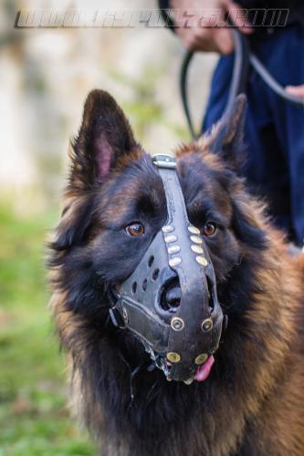 GrpePatrol6small-03122017-