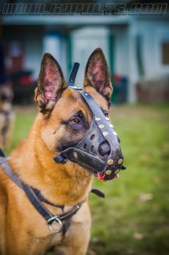 GrpePatrol8small-03122017-