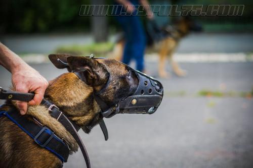 GrpeStagePatro654-22092017small