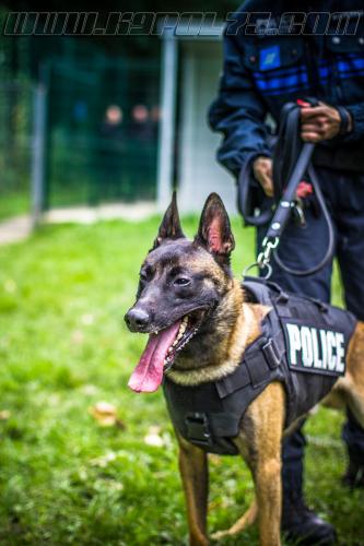 GrpeStagePatrol2-22092017small