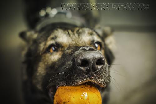 Impact03-18072017small