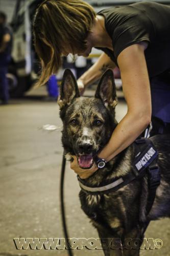 Impact04-18072017small