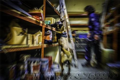 Isis1-Xplo-04012017small