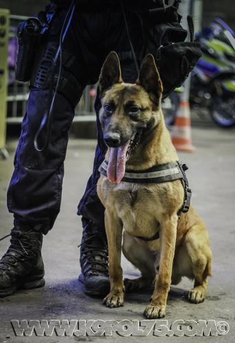 Jerry-small-Arme-16032017-