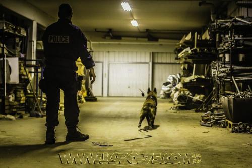 Jinger02-04072017big