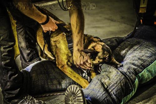 Kalash01small-10062017-