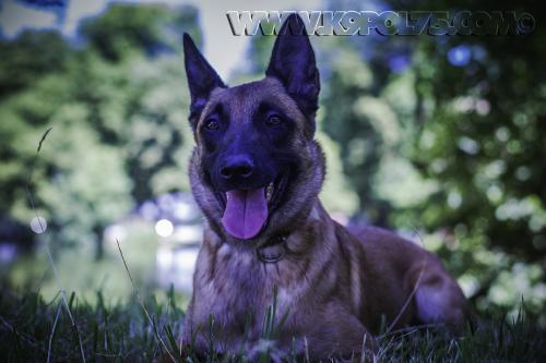 Lana06-07072017small