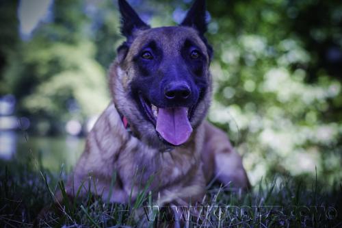 Lana07-07072017small