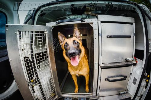 Lana1-small-11102017