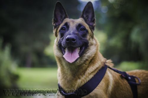 Lana2small-25092017-