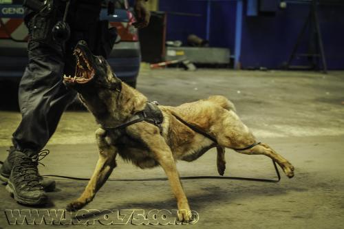 Luna01small-13062017