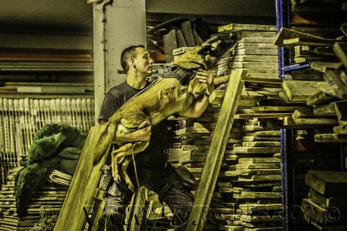 Luna02small-10062017-