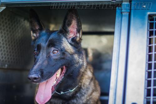 Luna1small-20092017-