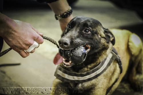 Luna2small-STUP-16032017-