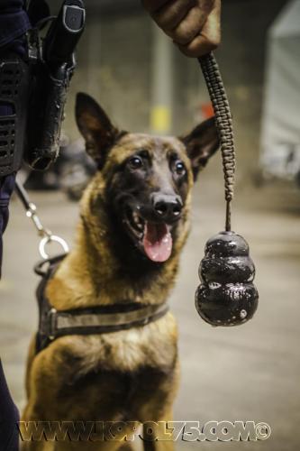 Manny02-18072017small