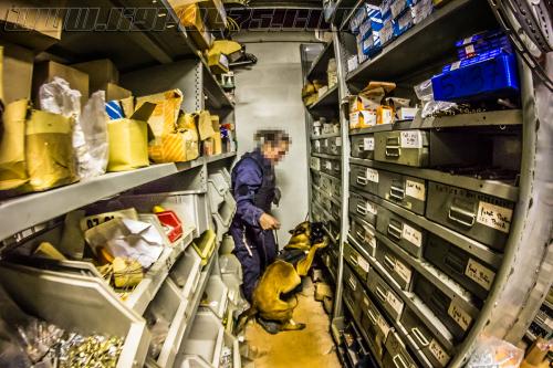 Manny1-1-small-31102017-